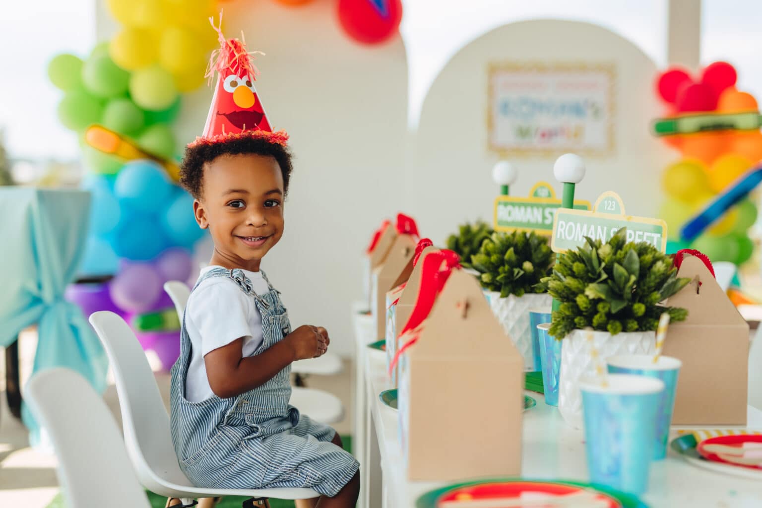 Sesame Street Themed Birthday Party Nashville Baby Guide