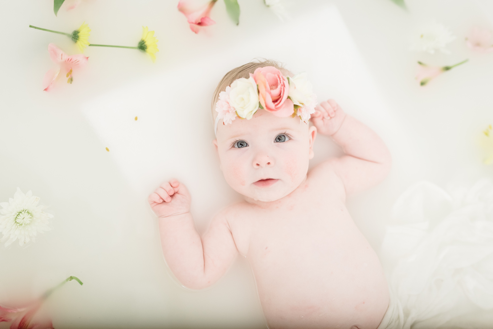 Kinley Rose’s Milkbath Photo Session by Dolly DeLong Photography