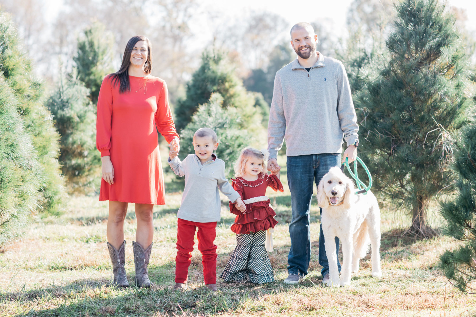 Country Cove Tree Farm Mini Family Session featured on Nashville Bride Guide